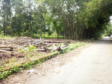 Perumahan di Kota Candi Prambanan Bisa KPR 20 menit ke Bandara Adisucipto