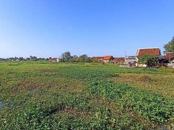 1 Jt-an Dekat RSUD Kardinah Tegal SHM Darat