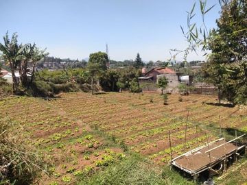 Dijual Dibawah Harga Pasaran ! Tanah Sayap Setiabudi