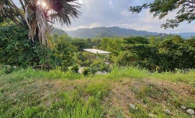 OVERLOOKING 216 SQM SUBDIVISION LOT for Sale in GREENWOODS SUBDIVISION near Talamban Cebu City with Huge Discounts!