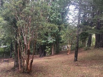 COD35744 Venta Sitio con gran casa en Caburga en Pucón