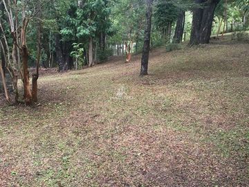 COD35744 Venta Sitio con gran casa en Caburga en Pucón
