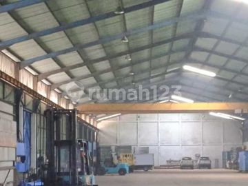 Gudang Kadujaya, Tangerang LT 7000, LB 2200
