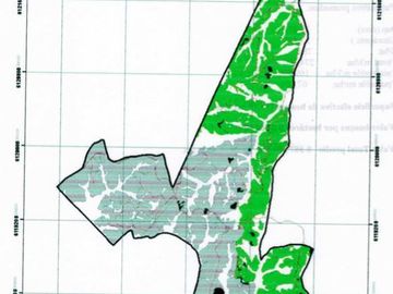 Agrícola en Venta en Docamávida / Curepto / Hualañé