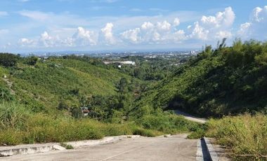 OVERLOOKING 209 SQM Lot for Sale in VISTA VERDE CONSOLACION CEBU with Scenic Mountain Views