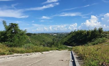 OVERLOOKING 209 SQM Lot for Sale in VISTA VERDE CONSOLACION CEBU with Scenic Mountain Views