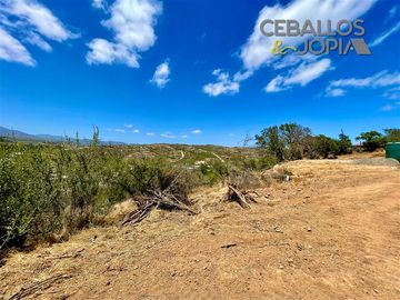 Parcela en venta en Limache