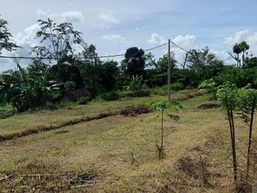Perumahan Murah Kota Malang Amany Land