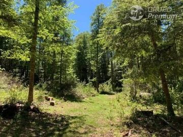 Parcela en venta en Curarrehue