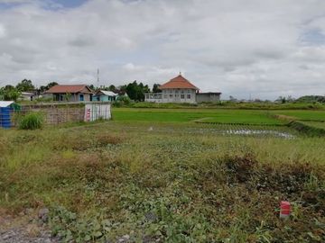 Tanah Kapling Klaten; Delanggu Permai 1 Jt-an/m2