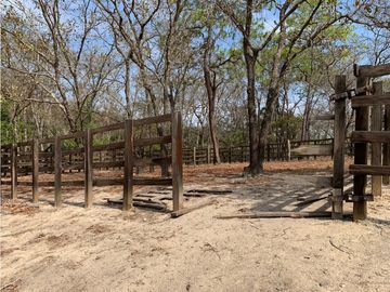 EXCELENTE RANCHO EN JULIAN GRAJALES JIQUIPILAS, CHIAPAS.