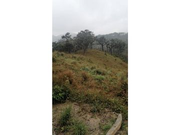 EXCELENTE RANCHO EN JULIAN GRAJALES JIQUIPILAS, CHIAPAS.