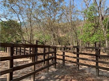 EXCELENTE RANCHO EN JULIAN GRAJALES JIQUIPILAS, CHIAPAS.
