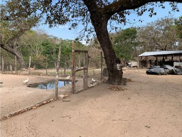 EXCELENTE RANCHO EN JULIAN GRAJALES JIQUIPILAS, CHIAPAS.