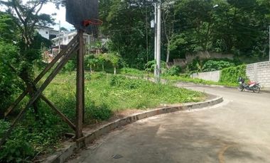 254 SQM Residential Lot for Sale near Talamban Cebu City Greenwoods Subdivision