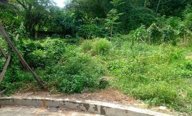 254 SQM Residential Lot for Sale near Talamban Cebu City Greenwoods Subdivision