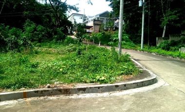 254 SQM Residential Lot for Sale near Talamban Cebu City Greenwoods Subdivision