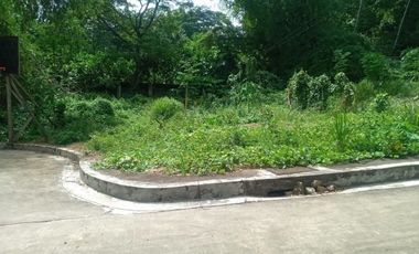 254 SQM Residential Lot for Sale near Talamban Cebu City Greenwoods Subdivision