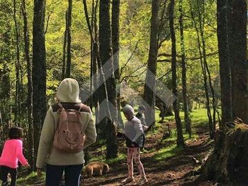 Parcela en Venta en Lago Puyehue-Mantilhue