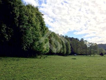Parcela en Venta en Lago Puyehue-Mantilhue