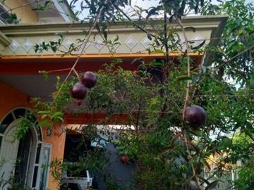 Rumah di Prigen, Pasuruan 1,2 Milyar