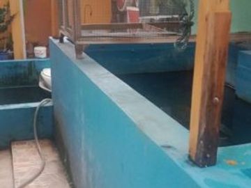 Rumah di Prigen, Pasuruan 1,2 Milyar