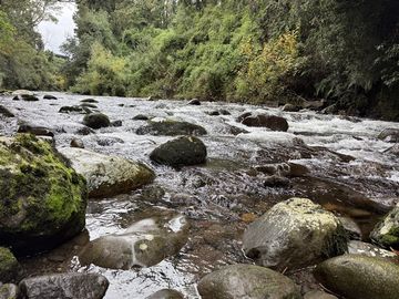Casa y complejo turístico venta de 3 cabañas en Puerto Varas