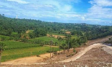 Very Affordable 120 Sqm Lot for Sale in Consolacion Cebu near SM Lacion