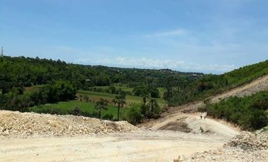 Very Affordable 120 Sqm Lot for Sale in Consolacion Cebu near SM Lacion