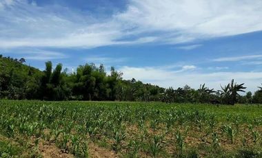 Very Affordable 120 Sqm Lot for Sale in Consolacion Cebu near SM Lacion