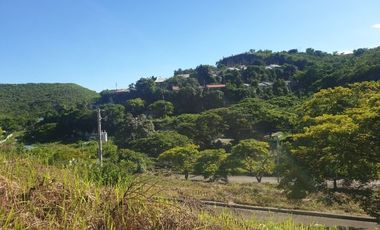Overlooking 111 Sqm Subdivision Lot for Sale in ASPEN HEIGHTS CONSOLACION Cebu