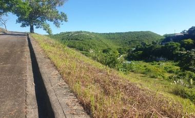 Overlooking 111 Sqm Subdivision Lot for Sale in ASPEN HEIGHTS CONSOLACION Cebu