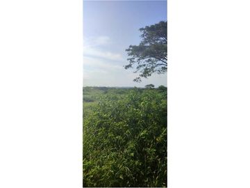 VENTA DE  TERRENO 250 MTS2, PLAYAS DE VILLAMIL LOTIZACION BRISAS 2