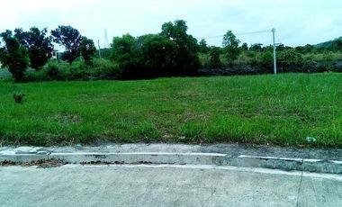 189 Sqm Overlooking Sea View Lot for Sale in Bulacao, Talisay Cebu