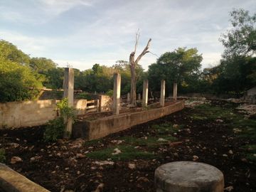Rancho de 170 has en venta, Calotmul, Yuc., Buena Ubicación.