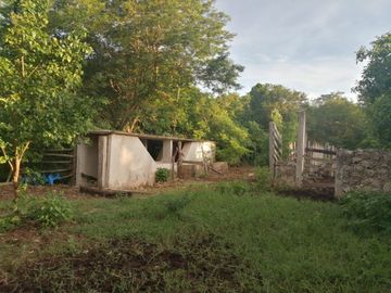 Rancho de 170 has en venta, Calotmul, Yuc., Buena Ubicación.