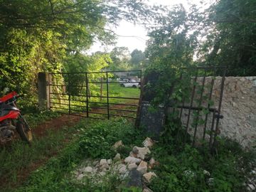 Rancho de 170 has en venta, Calotmul, Yuc., Buena Ubicación.