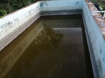 Rancho de 170 has en venta, Calotmul, Yuc., Buena Ubicación.