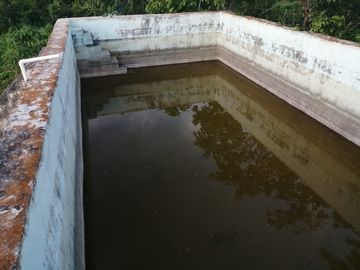 Rancho de 170 has en venta, Calotmul, Yuc., Buena Ubicación.