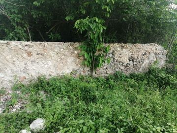 Rancho de 170 has en venta, Calotmul, Yuc., Buena Ubicación.