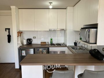Departamento Canal beagle ID: 170083s