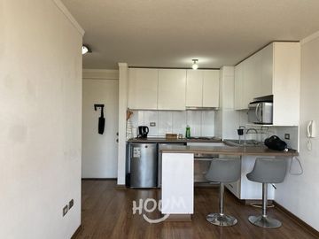 Departamento Canal beagle ID: 170083s