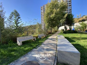 Departamento Canal beagle ID: 170083s