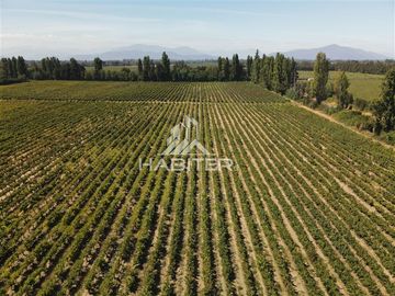 Agrícola en Venta en Ruta K-15 4800