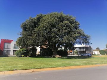 Casa en venta en Residencial Bosque Cedros