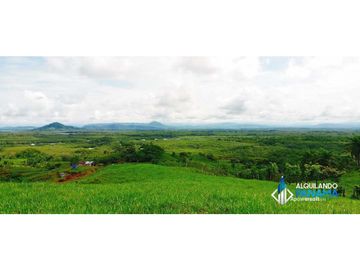 En venta 1 ha en Boca Chica, cerca a la playa con increíbles vistas!