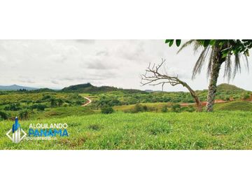 En venta 1 ha en Boca Chica, cerca a la playa con increíbles vistas!