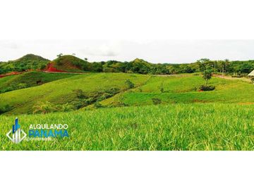 En venta 1 ha en Boca Chica, cerca a la playa con increíbles vistas!