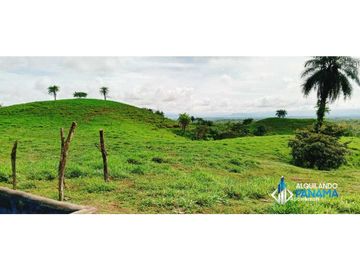 En venta 1 ha en Boca Chica, cerca a la playa con increíbles vistas!