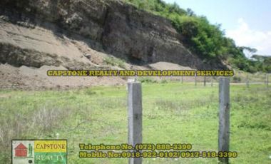 Commercial Lot for sale San Juan, La Union